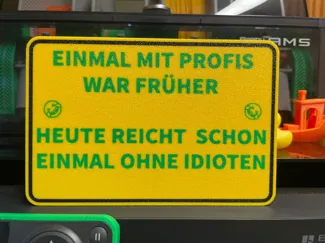 EINMAL MIT PROFIS ARBEITEN