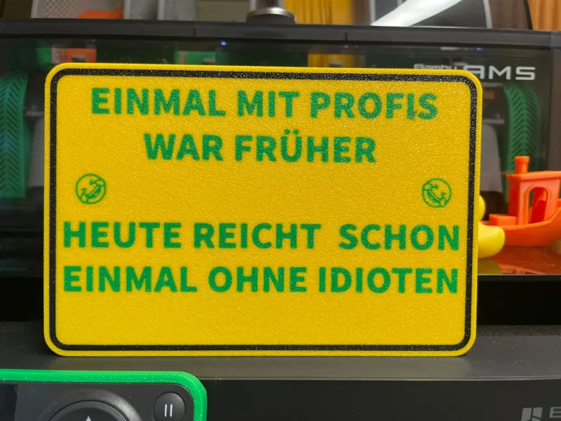 EINMAL MIT PROFIS ARBEITEN