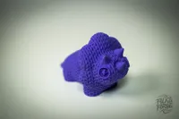 Tri Dino Knit - Single Colour