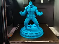 0.16mm layer, 4 walls, 5% infill