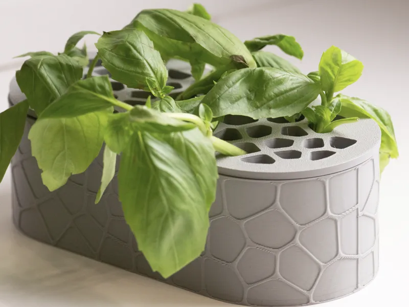 Voronoi vase for rooting