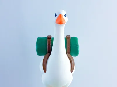Camping Sleeping Bag Pack Desk Goose Gear