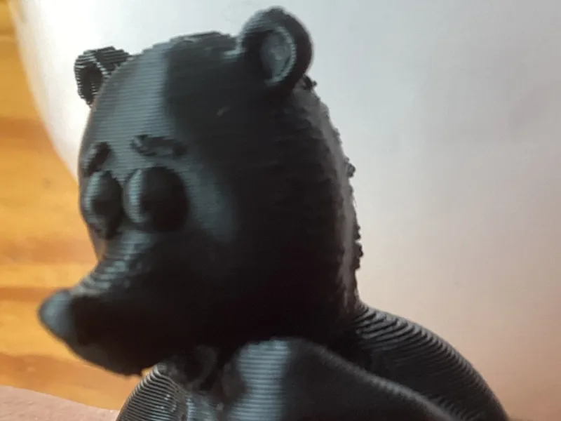 Naschbär