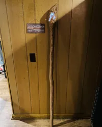 5 foot 6 inch tall