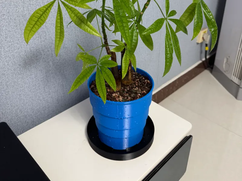 防烂根透气透水花盆2.0