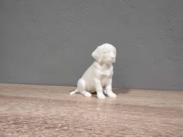 Modelo para impresión 3D: Golden Retriever - Puppy - Animal - Dog — vista de referencia 3