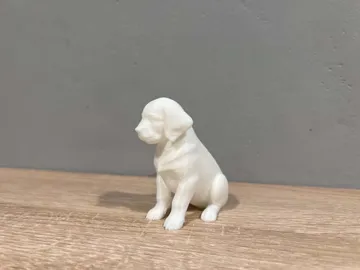 Modelo para impresión 3D: Golden Retriever - Puppy - Animal - Dog — vista de referencia 5