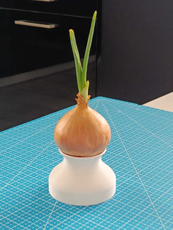 Pot pour oignons et ciboulette