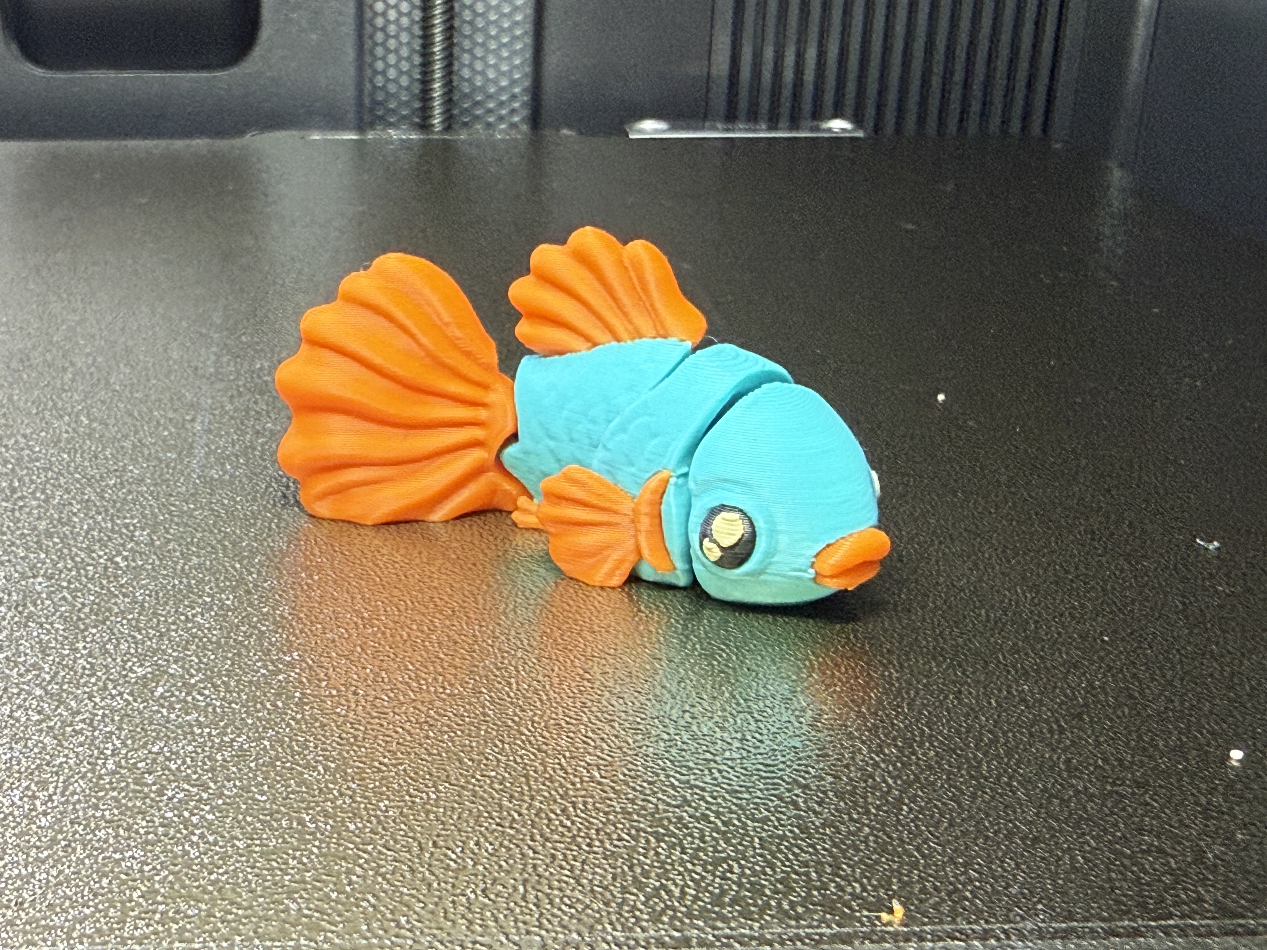 Miniatura 1 do modelo 3D Flexy Mini Betta Fish