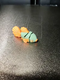 Multi Color - 2 colors  Eyes and Fins 