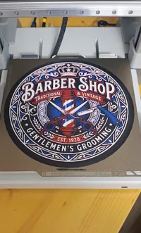 0.08mm layer, 2 walls, 100% infill