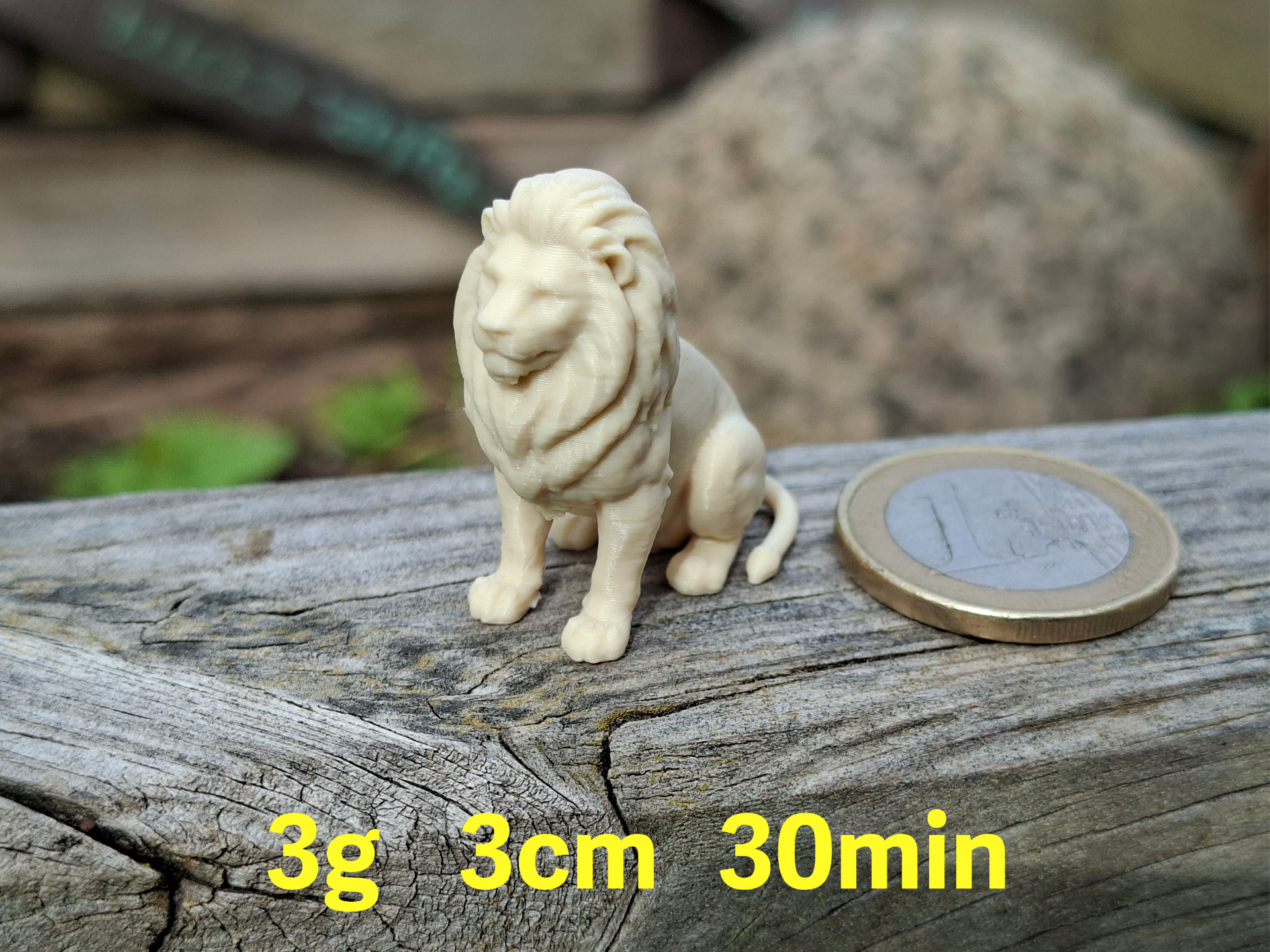 Mini Lion