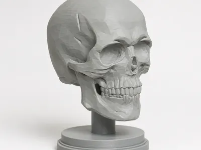 Skull on Stand