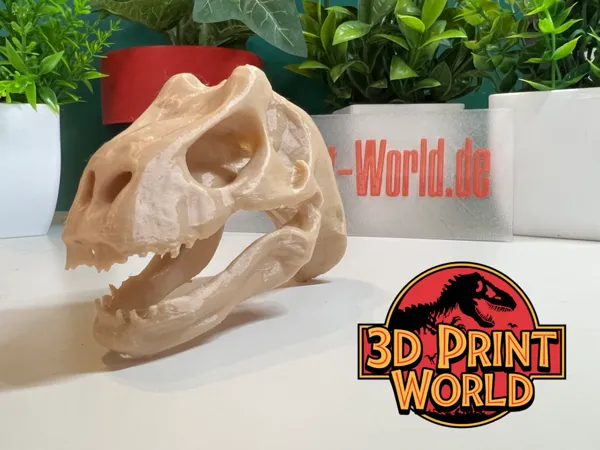https://makerworld.bblmw.com/makerworld/model/US45e6da59387b76/design/2025-01-14_21423c06235c9.png