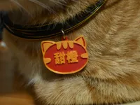 0.2mm 层高, 2 层墙, 35% 填充