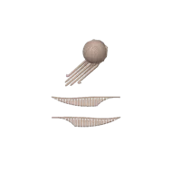 0.16mm layer, 2 walls, 15% infill