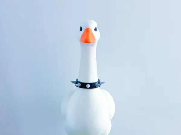 https://makerworld.bblmw.com/makerworld/model/US45f18e1f303e22/design/09d7c20a20e466e3.jpg