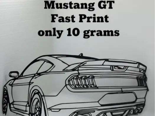 Mustang GT Silhouette
