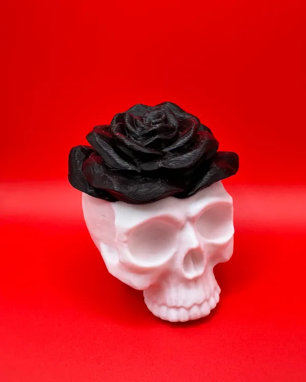 https://makerworld.bblmw.com/makerworld/model/US45f57cee88d6dc/design/2024-09-13_da34568c9883f.jpeg