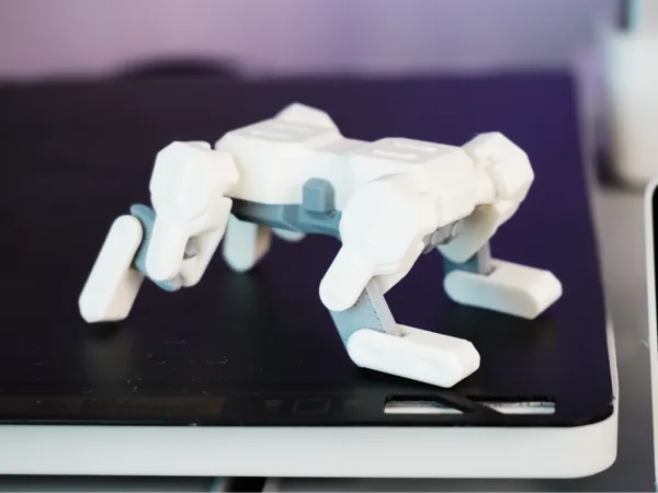 https://makerworld.bblmw.com/makerworld/model/US45fbe26338e30e/design/2025-08-19_1c46fbac8d1cf.jpg