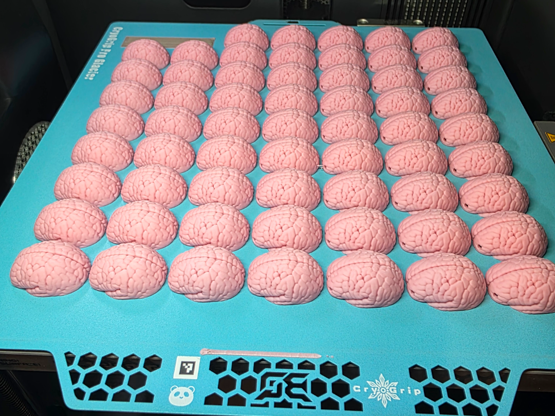 Lost Your Brain keychain 