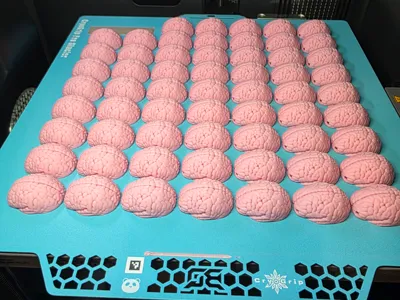 Lost Your Brain keychain 