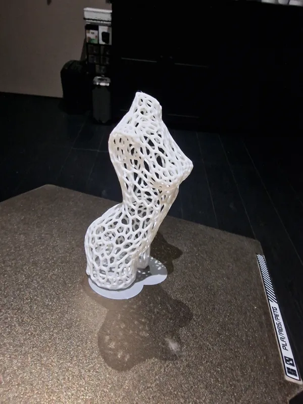 https://makerworld.bblmw.com/makerworld/model/US45ff17c7b0541/design/2024-01-30_3aa517d7b12e.jpg