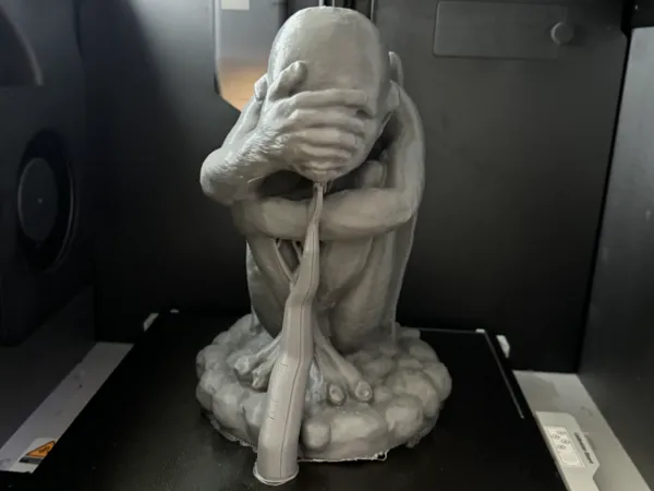 https://makerworld.bblmw.com/makerworld/model/US46001384da4def/design/2024-06-25_38f8bdcf998cf.jpg