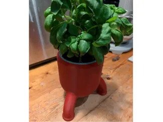Poto Roboto (Plant Pot)