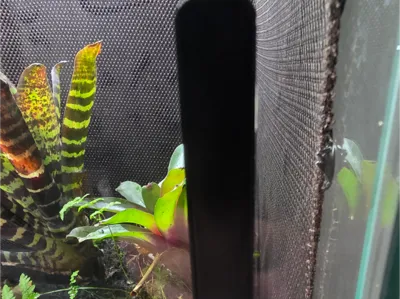 Terrarium Panel Handles