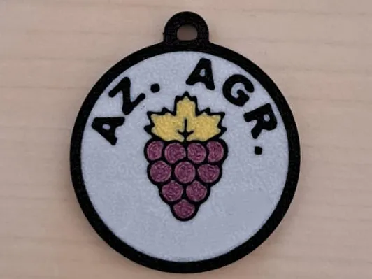 Portachiavi azienda agricola grappolo uva