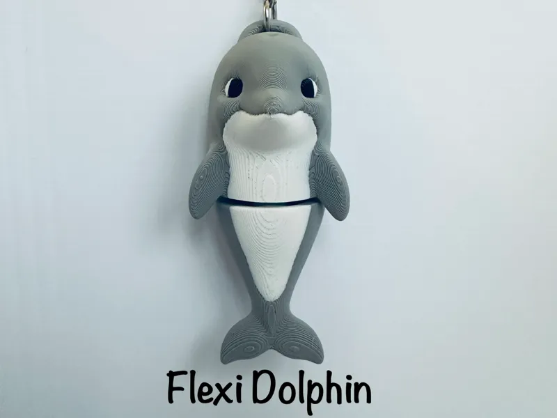 Flexi Dolphin Keychain