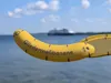 Folding Banana Ruler