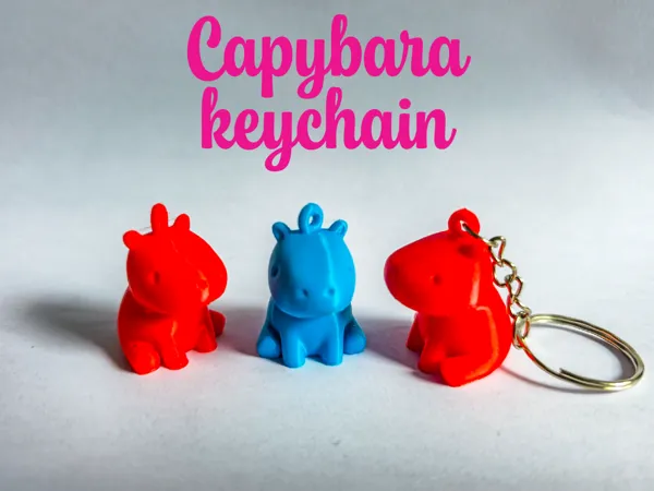 https://makerworld.bblmw.com/makerworld/model/US461b33887a1773/design/2025-05-07_43d8dae06257c.jpg