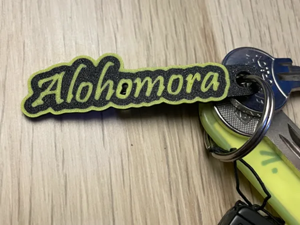 https://makerworld.bblmw.com/makerworld/model/US461bad381a5eca/design/2024-06-18_54dfd6e365b41.jpg