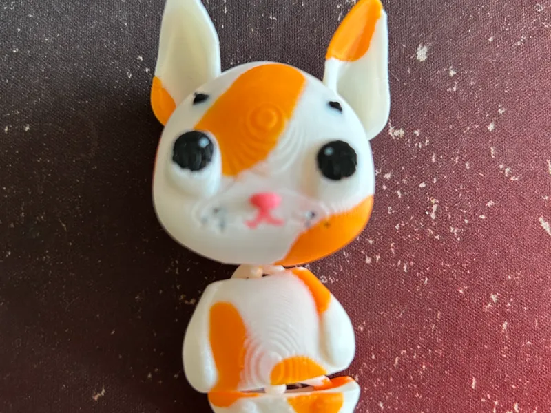 flexi cat