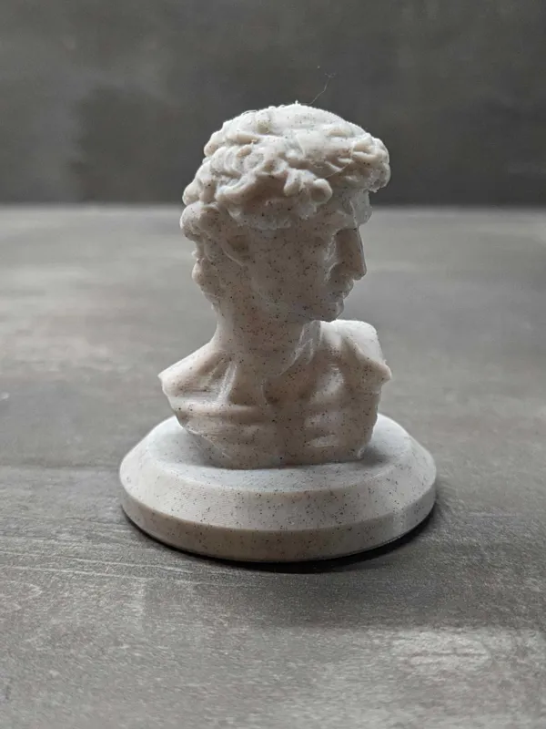 https://makerworld.bblmw.com/makerworld/model/US46257f98f3a06/design/2024-02-19_c780b4fe3754.jpeg