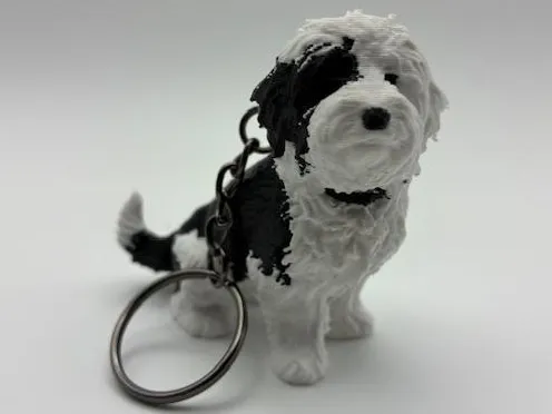 https://makerworld.bblmw.com/makerworld/model/US462796effccf2c/design/763fad61567dca66.jpg