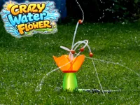Crazy Water Flower