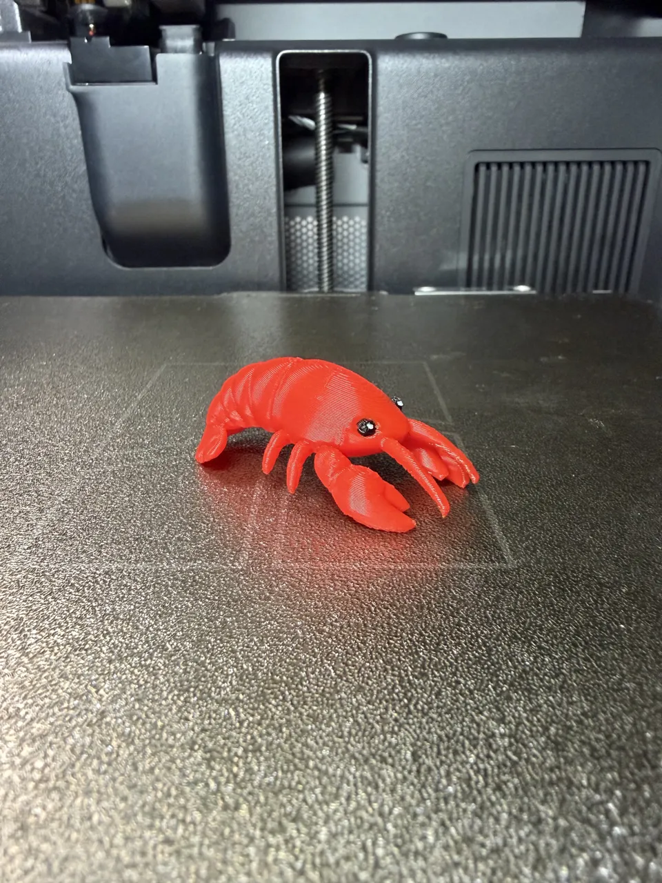 Cute Crayfish – Sensory Play view 2
