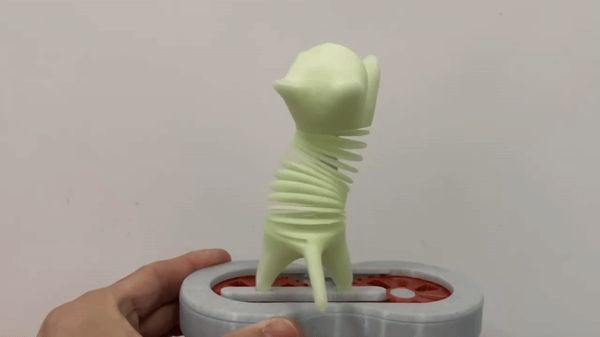 https://makerworld.bblmw.com/makerworld/model/US462e9cbfd54953/design/978173fe-2397-4a0b-990f-786b4773beb5.gif