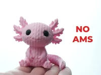 no ams