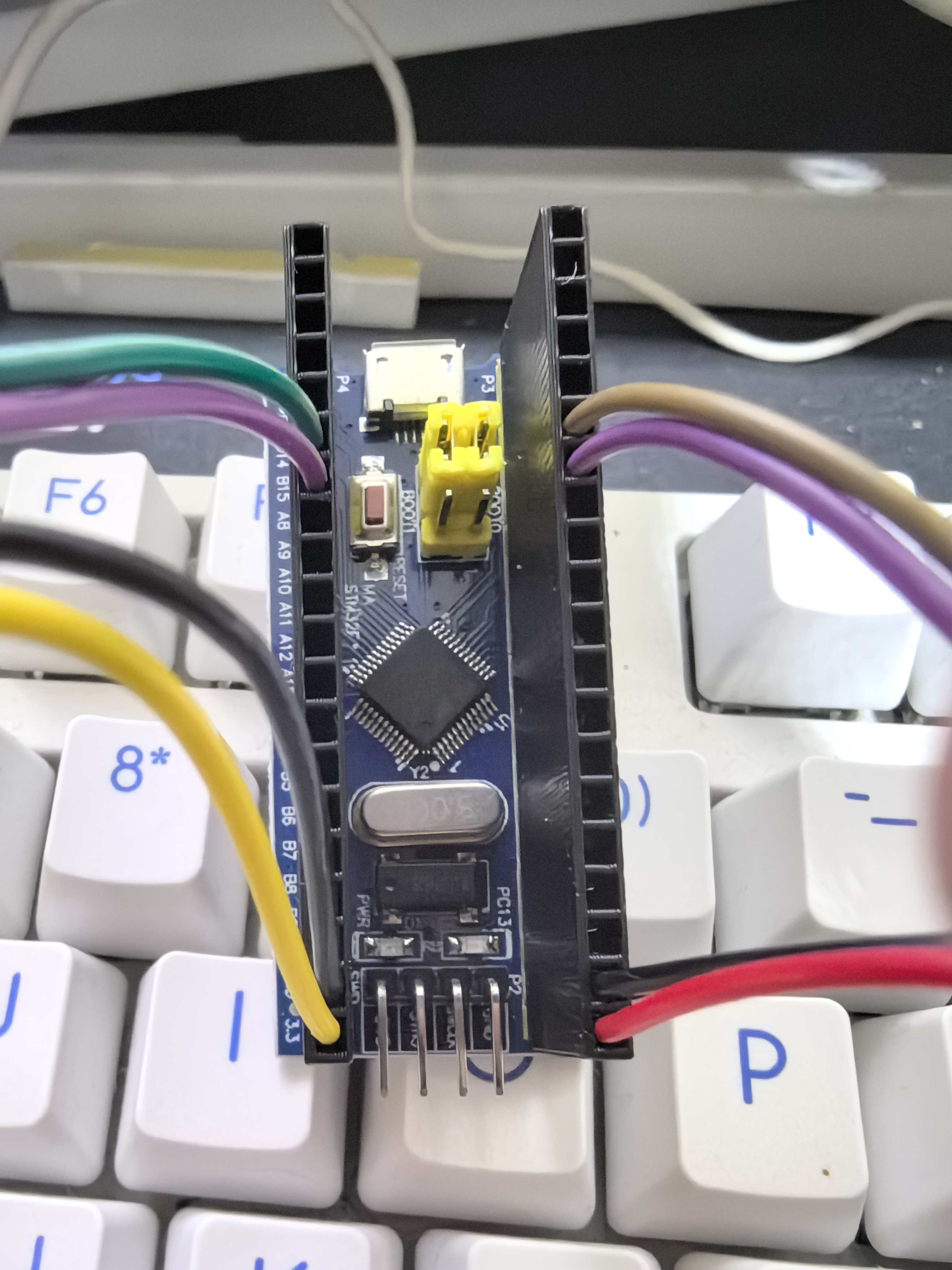 Miniatura 3 do modelo 3D 杜邦端子2.54面包线