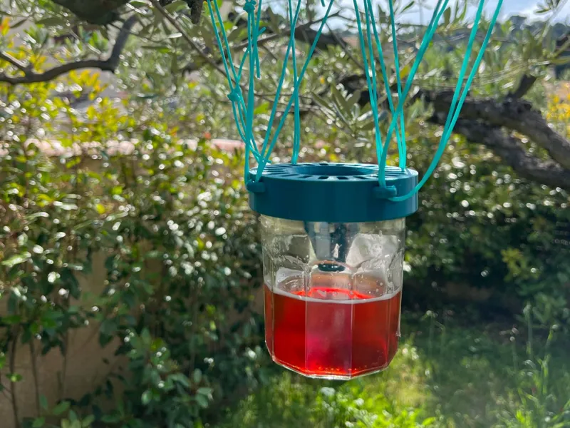 Pièege à frelon / hornet trap