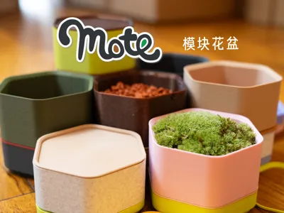 Mote Pot Modular Planter Starter Kit - Small Hexagon