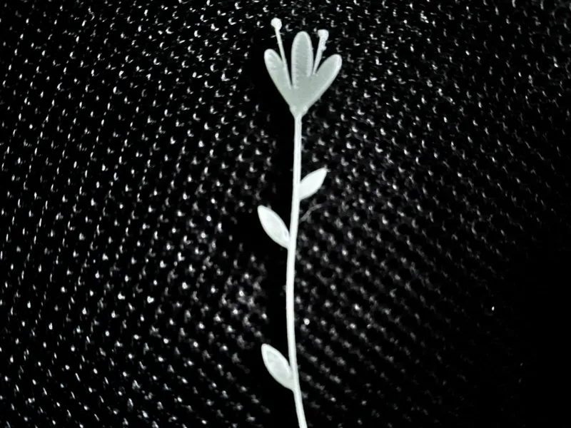 Bloom Silhouette