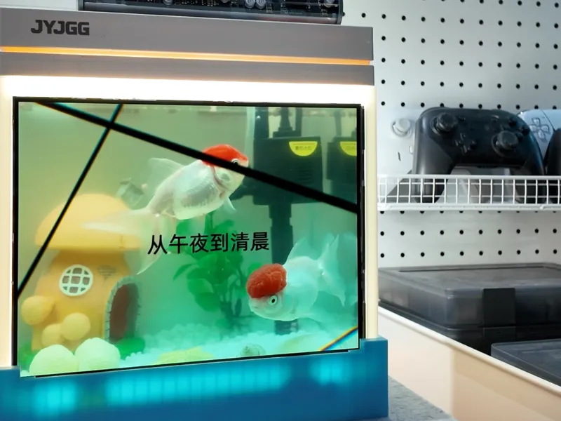 透明歌词鱼缸