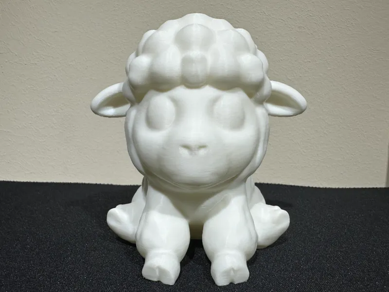 Cute sheep