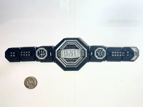 https://makerworld.bblmw.com/makerworld/model/US46460d40035b9/design/2025-08-16_809db958c968b.jpg