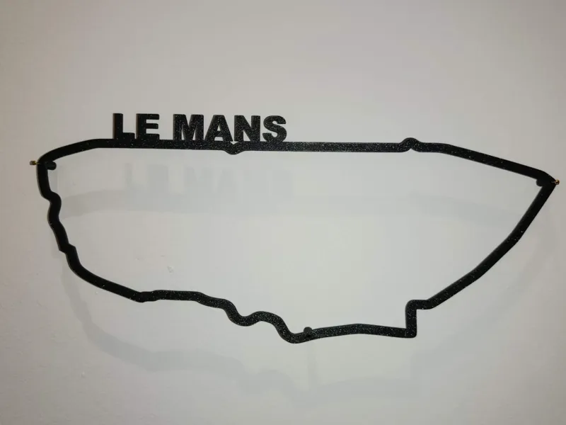 Silhouette del circuito di la Sarthe (Le Mans)